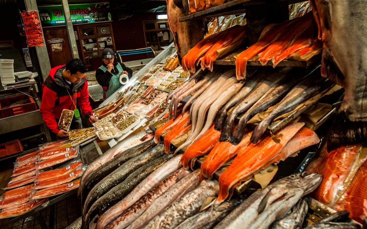 Etal de saumon sur le marché à Puerto Montt, dans le Sud du Chili