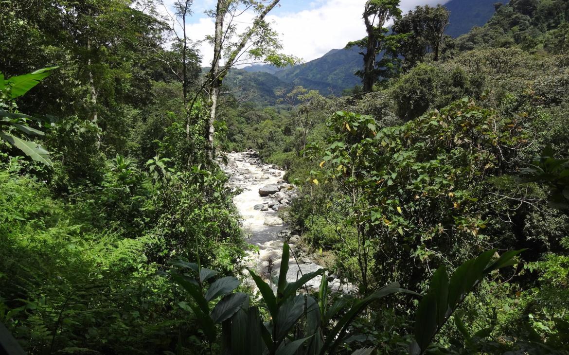 Rivière traversant les montagnes du Rwenzori