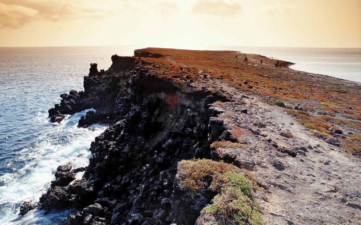 Ile Plaza, galapagos (Equateur)