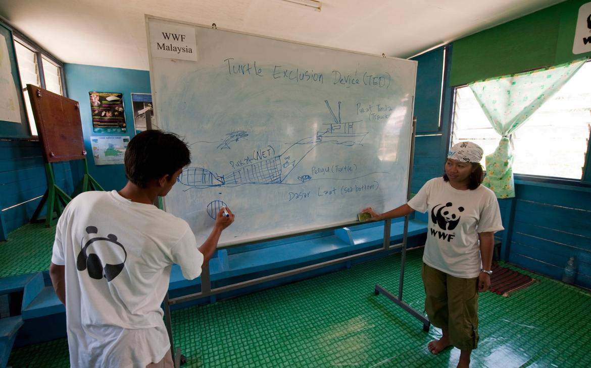 Employés du WWF Malaisie présentant le système TED à des volontaires locaux