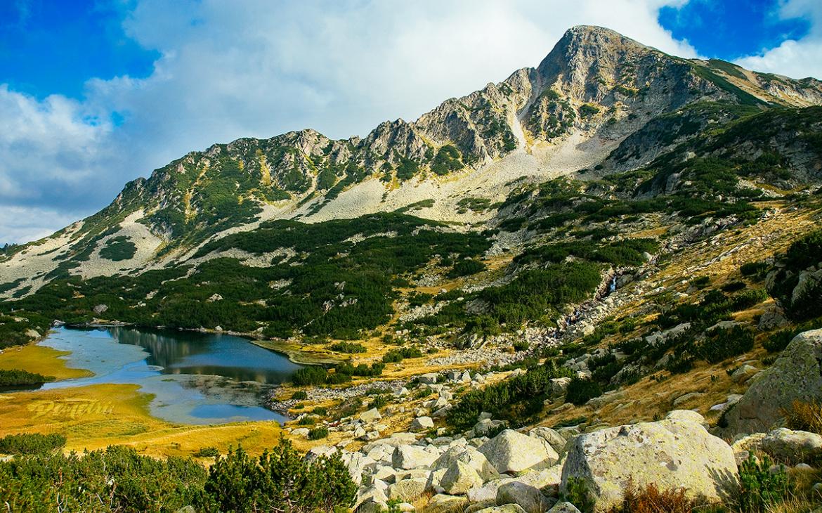 Parc national de Pirin