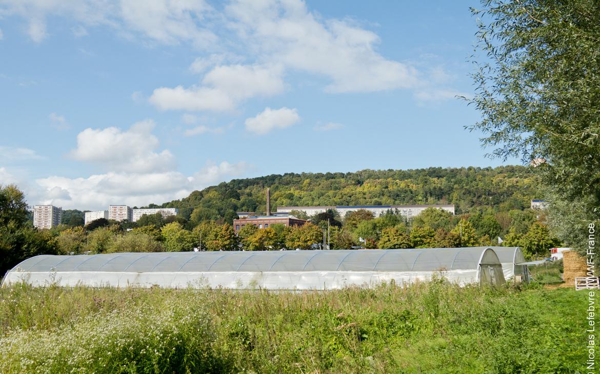 Agriculture sous serre au Champ des possibles (Rouen)