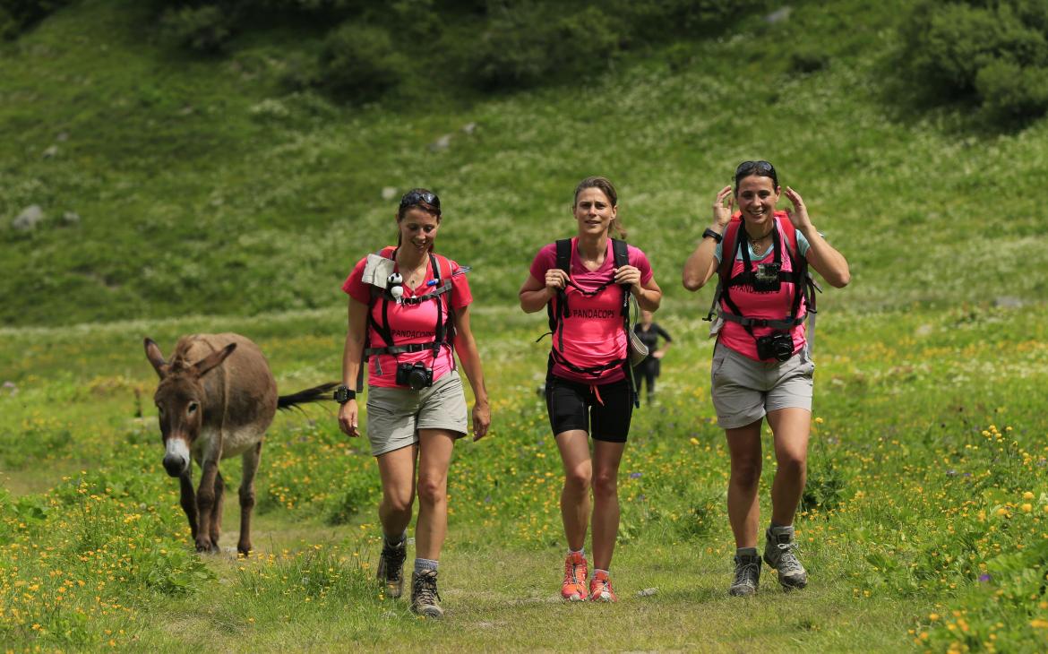 Equipe de randonneuses suivies par un âne lors du Pandathlon 2016, Saint Gervais - Mont Blanc (France)