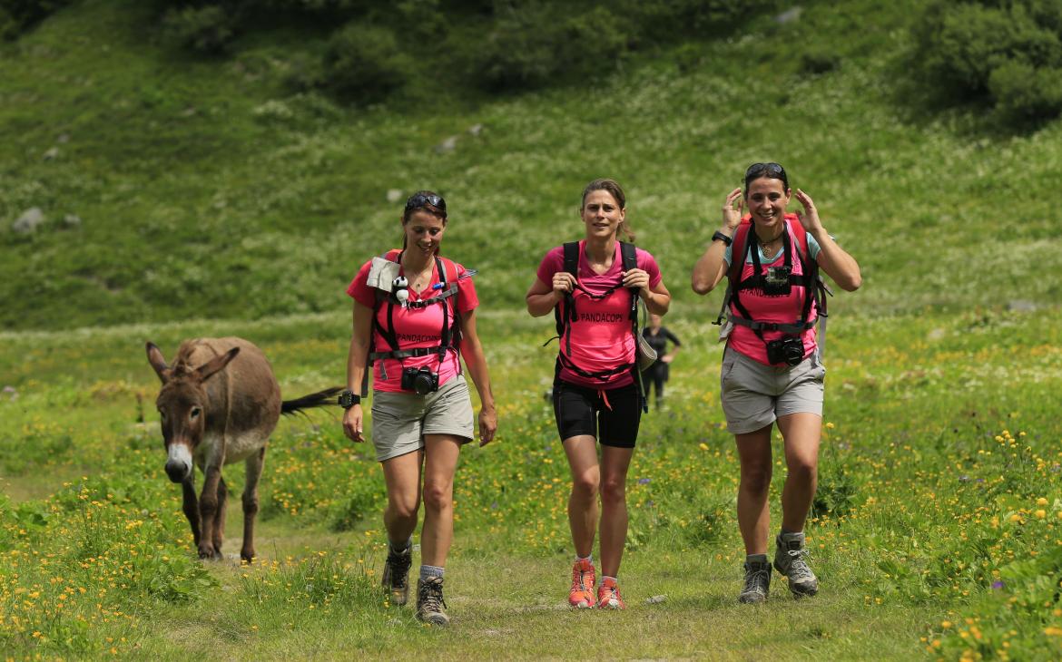 Equipe de randonneuses suivies par un âne lors du Pandathlon 2016, Saint Gervais - Mont Blanc (France)