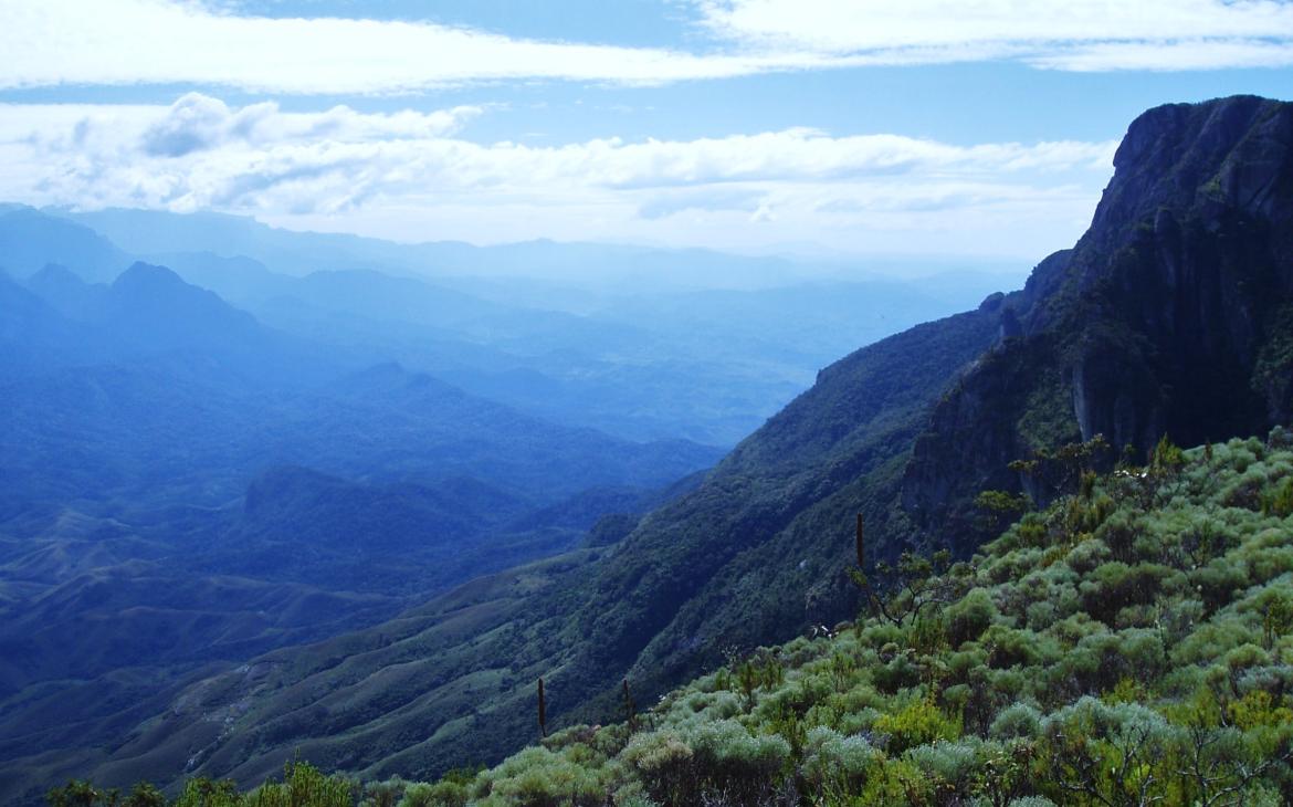 Un panorama de la forêt de Madagascar.