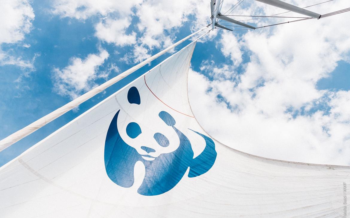Le Blue Panda : notre voilier pour préserver la Méditerranée