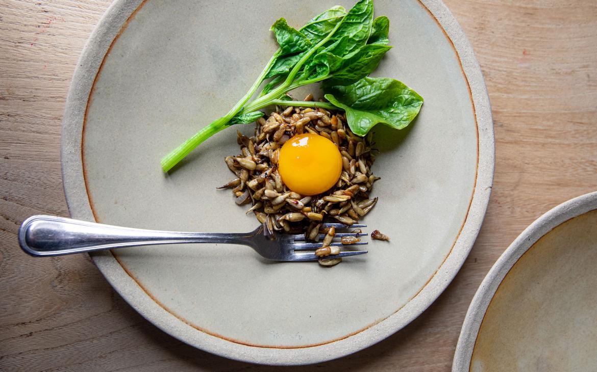 Recette durable de Florent Ladeyn - Oeufs marinés à la bière et graines de tournesol germées