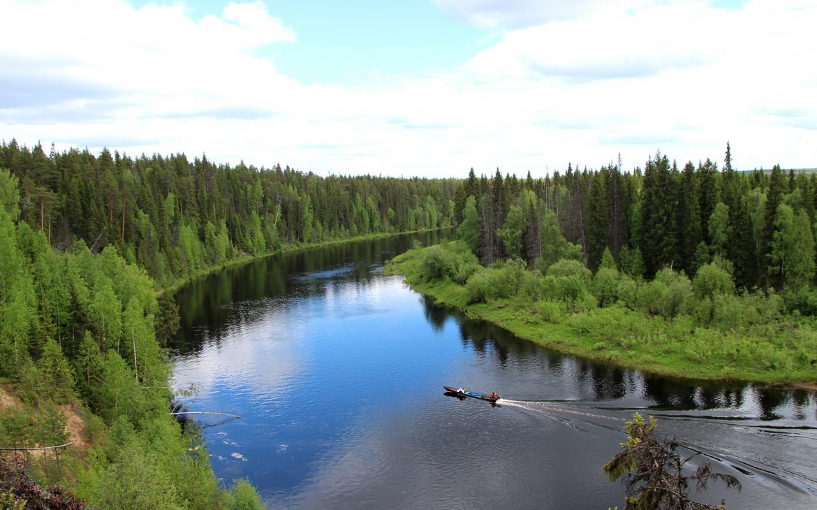 Vue d'une rivière et de la forêt taïga, Réserve Dvinsky, Russie