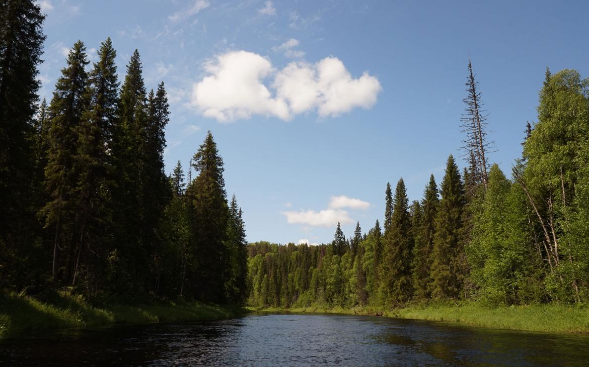 La Réserve Dvinsky de la région d'Arkhangelsk, Russie.