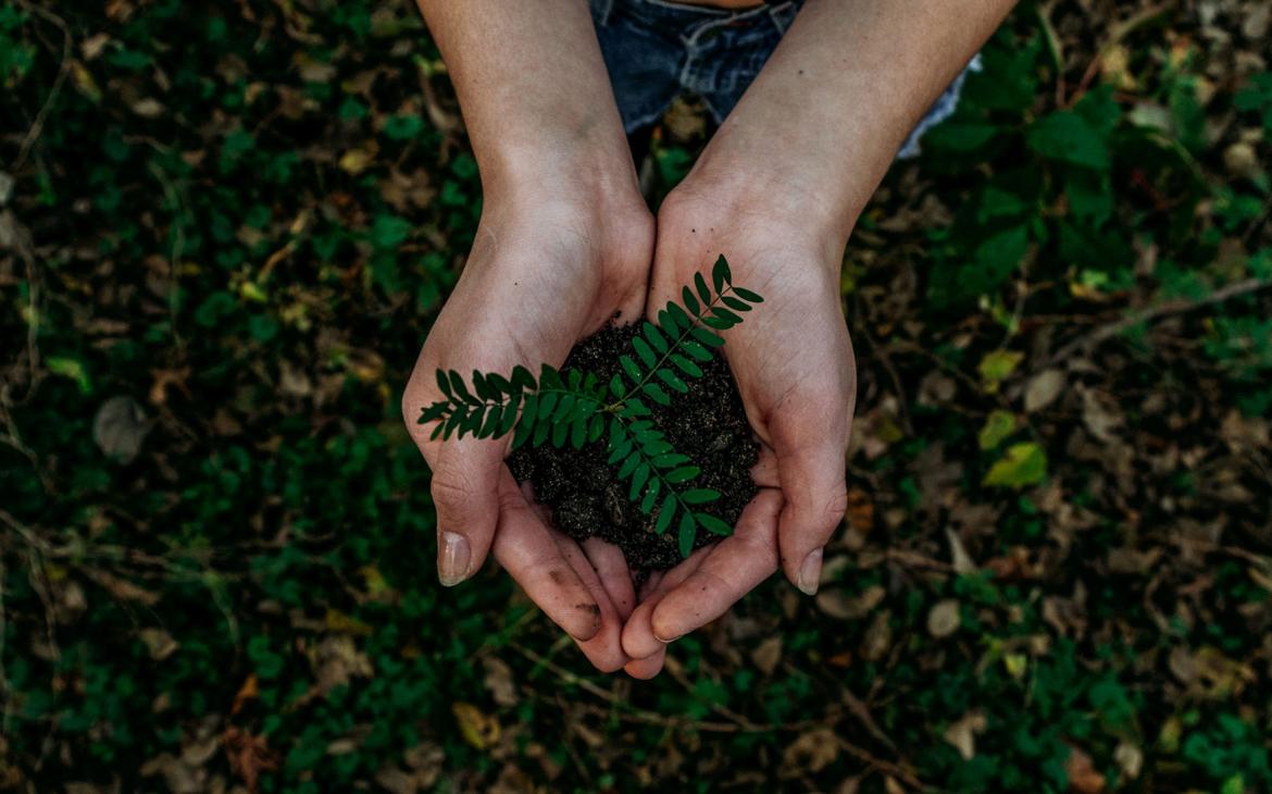 Une personne tient une motte de terre dans laquelle se trouve une jeune plante.