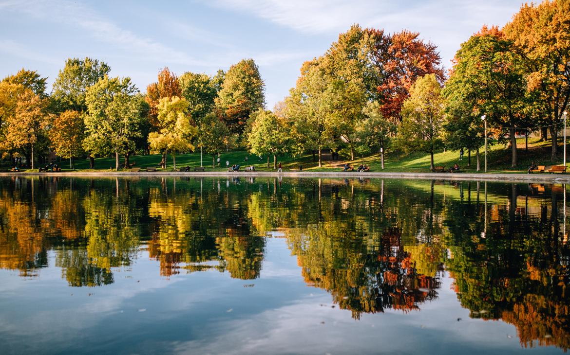 Vue générale d'une zone humide à Montréal avec de la végétation aux couleurs de l'automne.