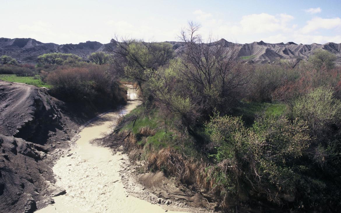 Rivière Sumar, habitat des loutres européennes (lutra lutra) (Turkmenistan), végétation sauvage et collines.