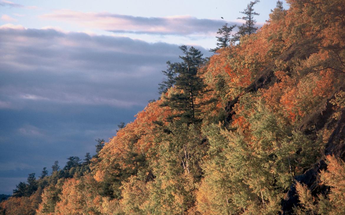 Vue semi-aérienne de la cordillère Sikhote-Aline où les arbres sont de la couleur de l'automne. (Sibérie)