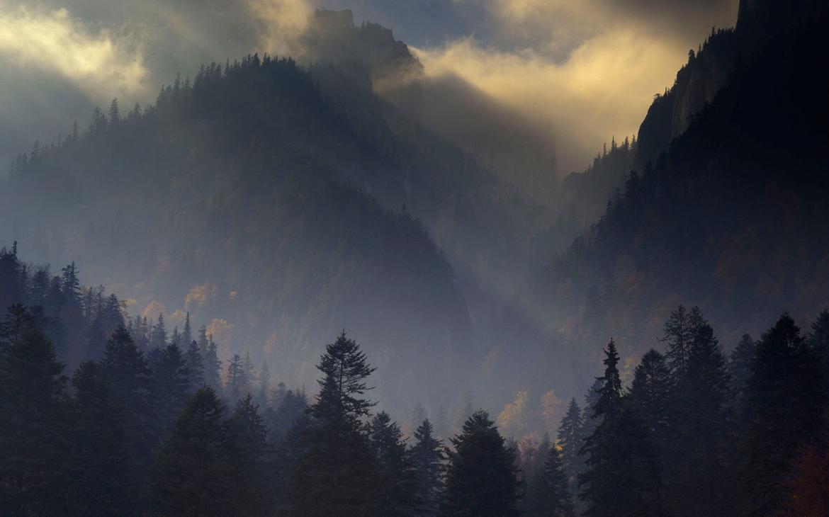 Valea Crapaturii et Rock of the King, Parc national de Piatra Craiului, Transylvanie, Sud des Carpates, Romanie