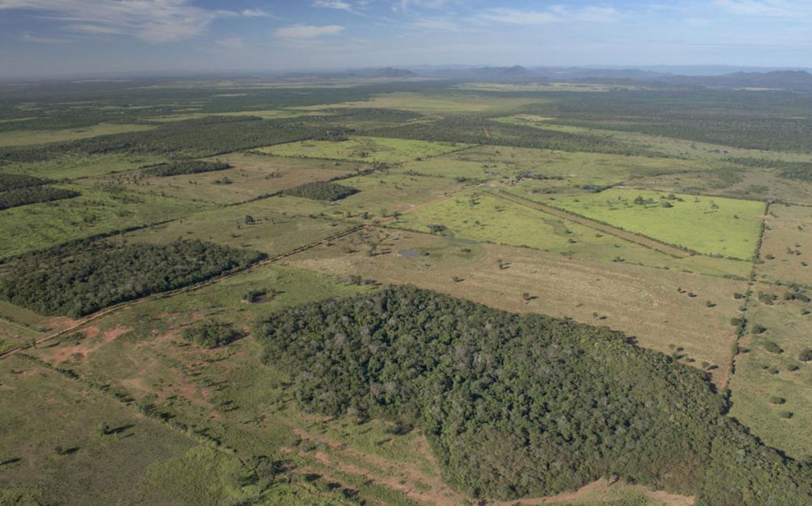 Déforestation dans la zone entre le Cerrado et le Pantanal, sud du Mato Grosso, Brésil