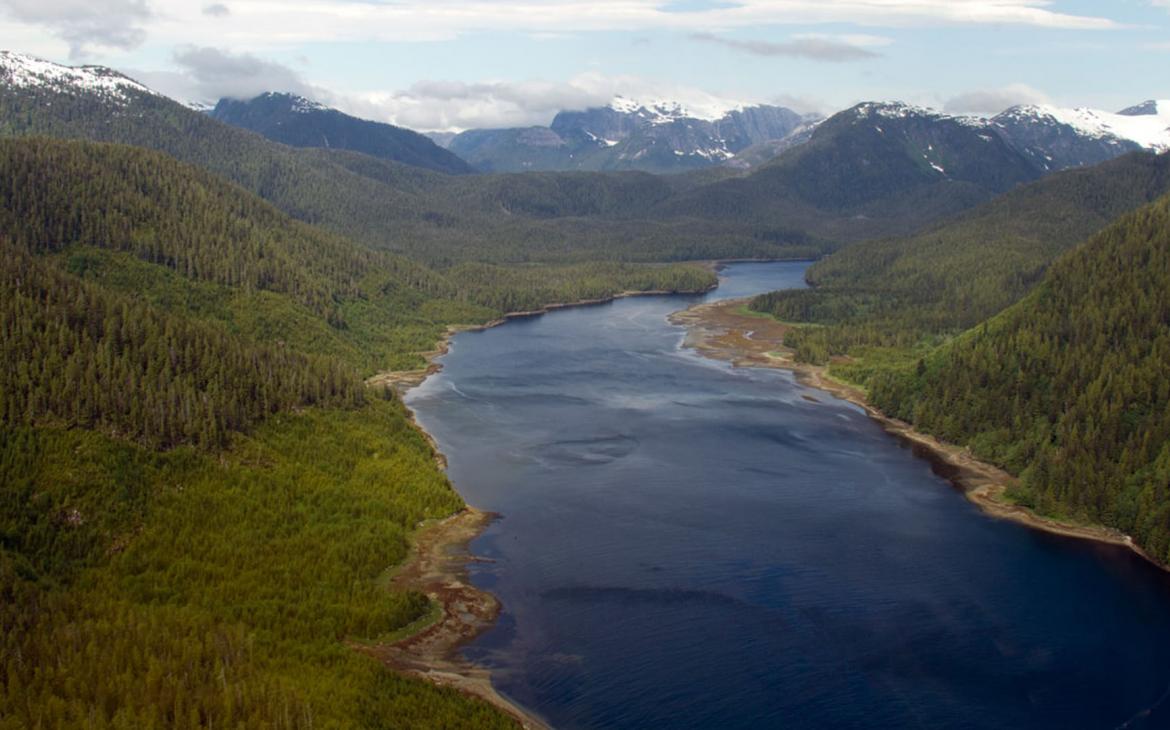 Vue aérienne de la Forêt pluviale de Great Bear en Colombie-Britannique.