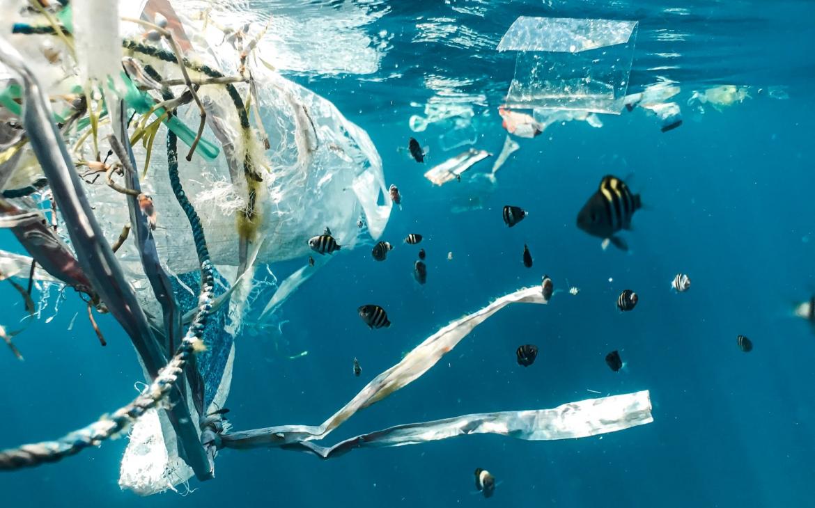 Des déchets plastiques flottent à la surface de l'eau