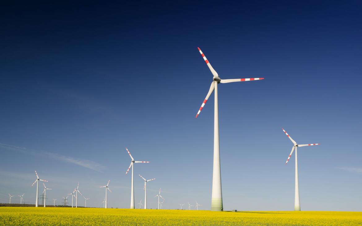 Un champ d'éolienne