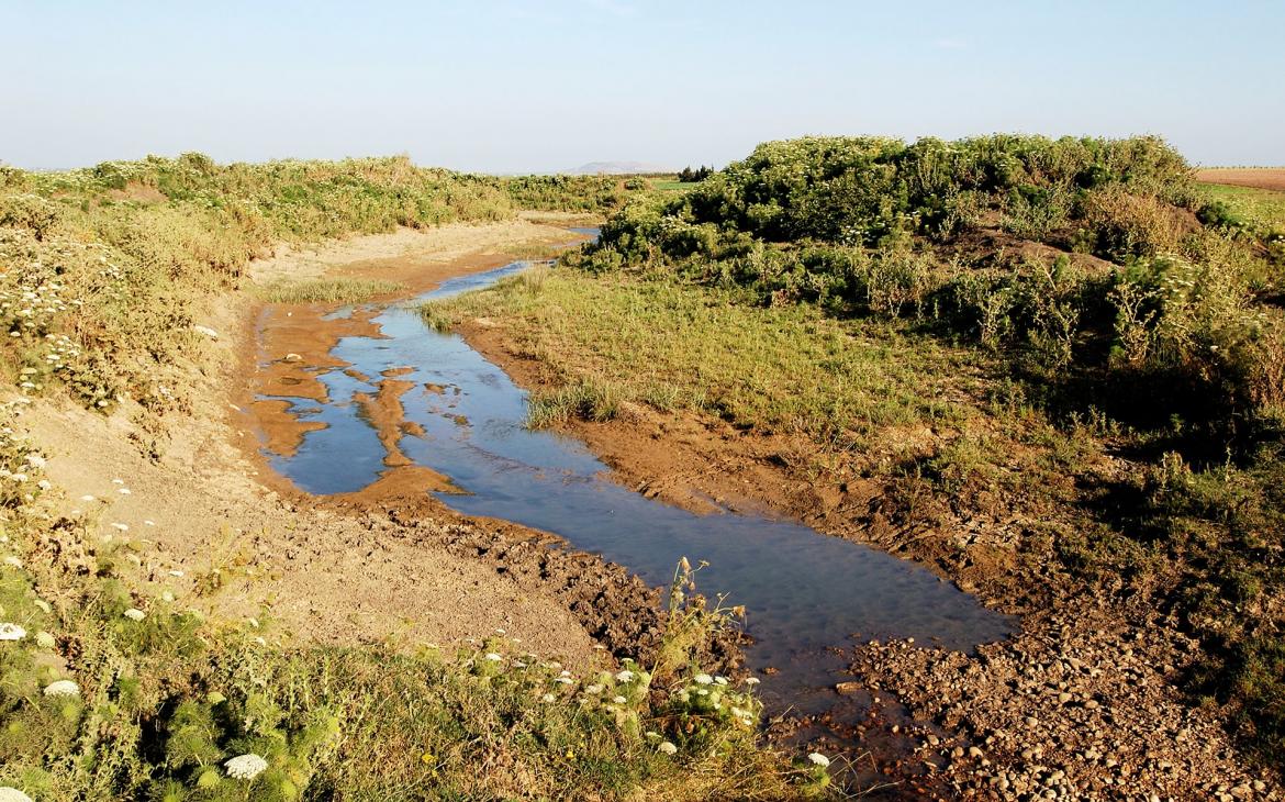 Rivière asséchée dans le massif de l'Atlas (Maroc)