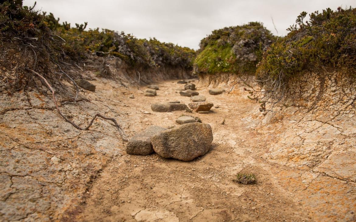 Le lit d'une rivière complètement asséché en Tasmanie, Australie.