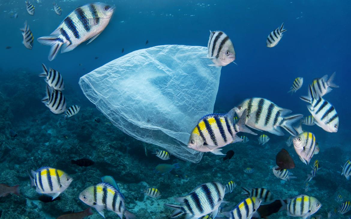 Plastique dans l'océan à Taiwan