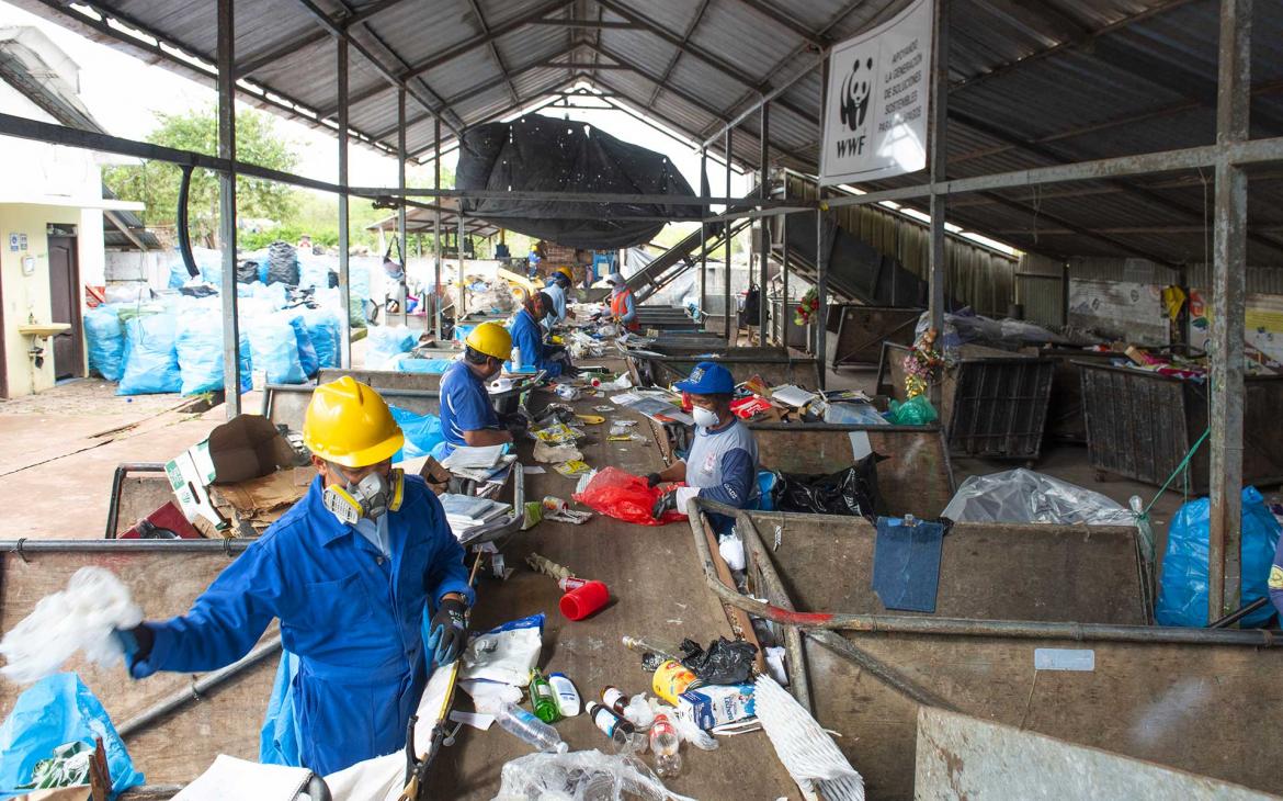 WWF Galapagos - tri du plastique