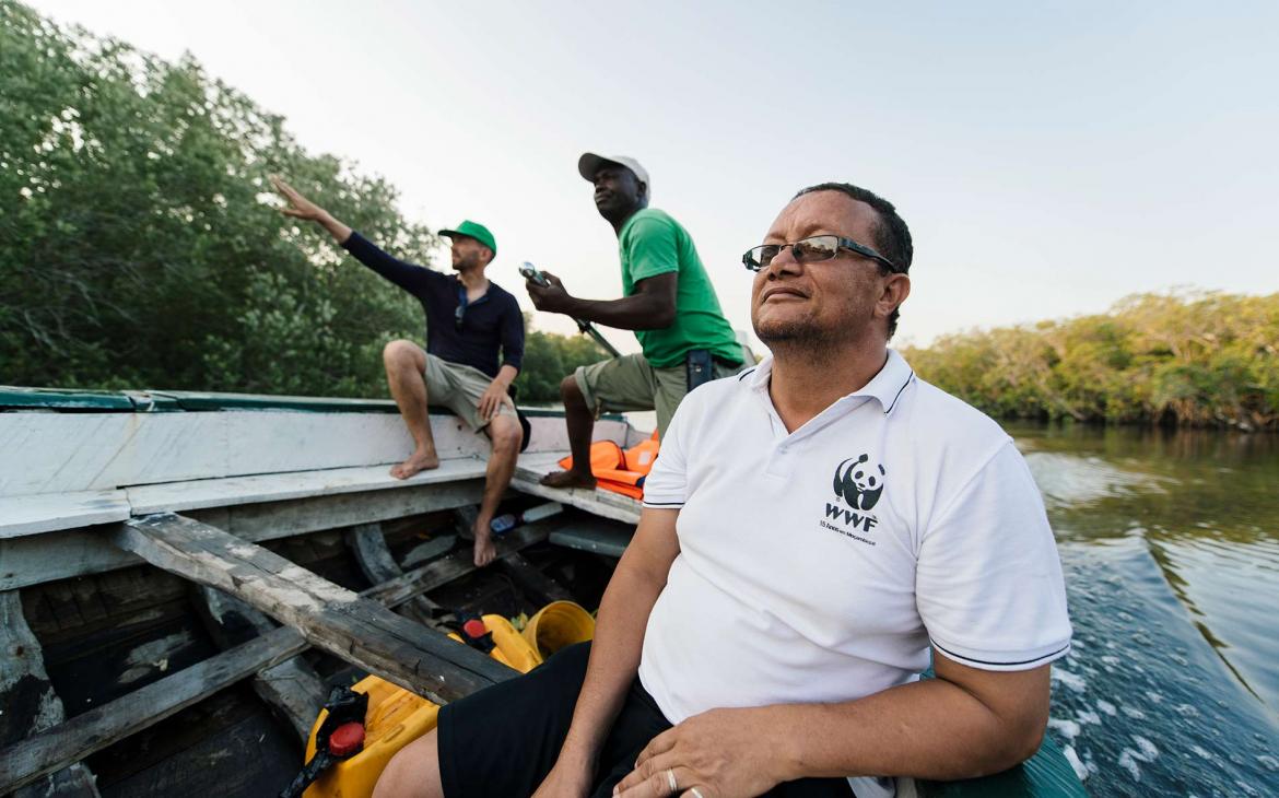 Visite d'une mangrove à Madagascar