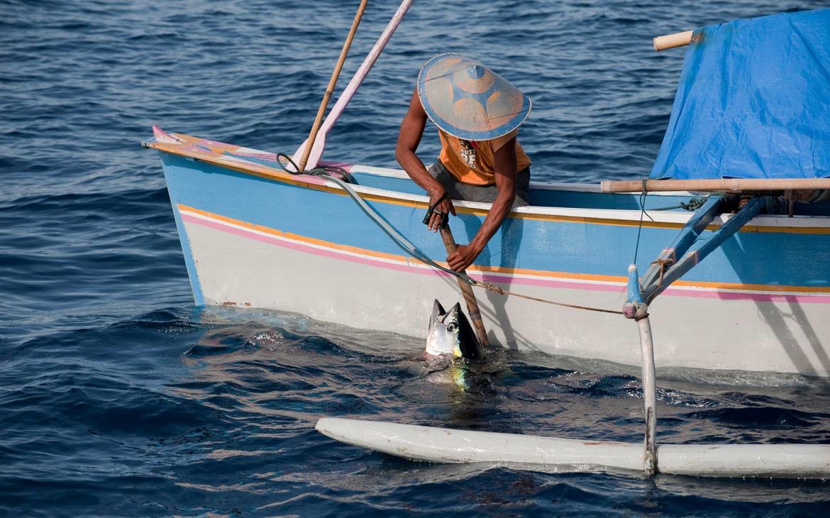 Pêche d'un thon dans le Pacifique