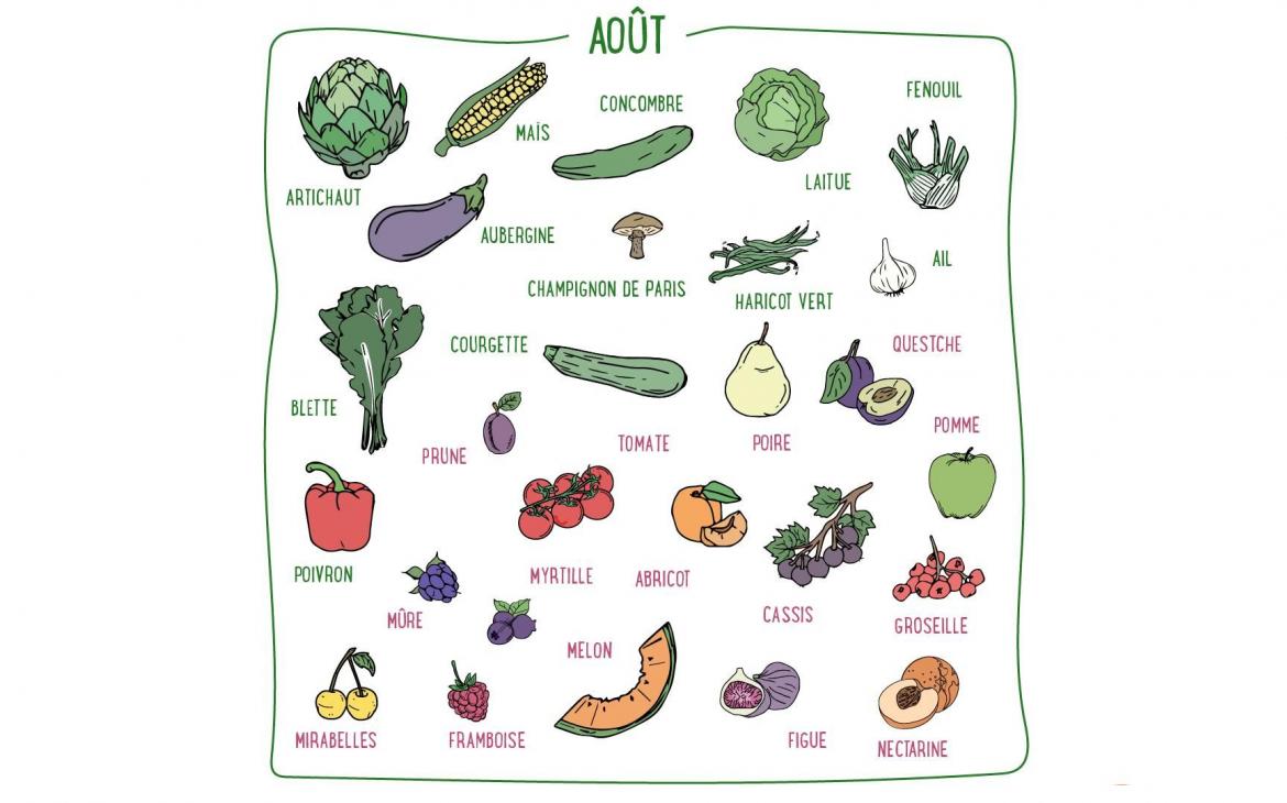 Laitue, concombre, courgette, quetsche, myrtille, mûre... Découvrez les fruits & légumes du mois de août en France métropolitaine.