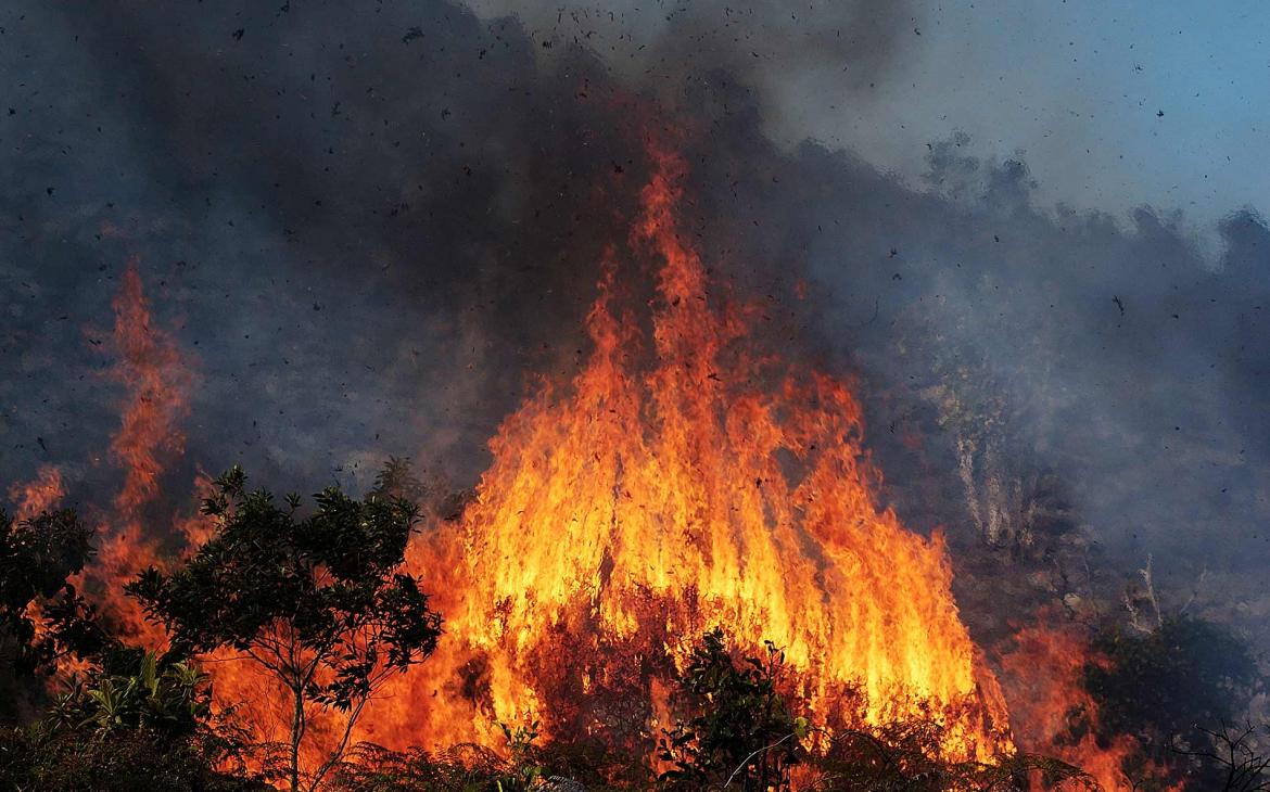 Feu de forêt en Nouvelle-Calédonie