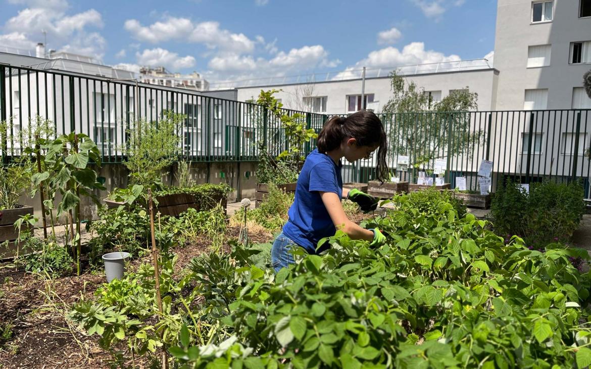 Ecole-jardiniere une fille prépare le potager