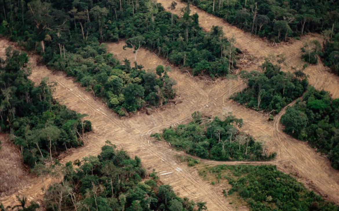 Déforestation Amazonie