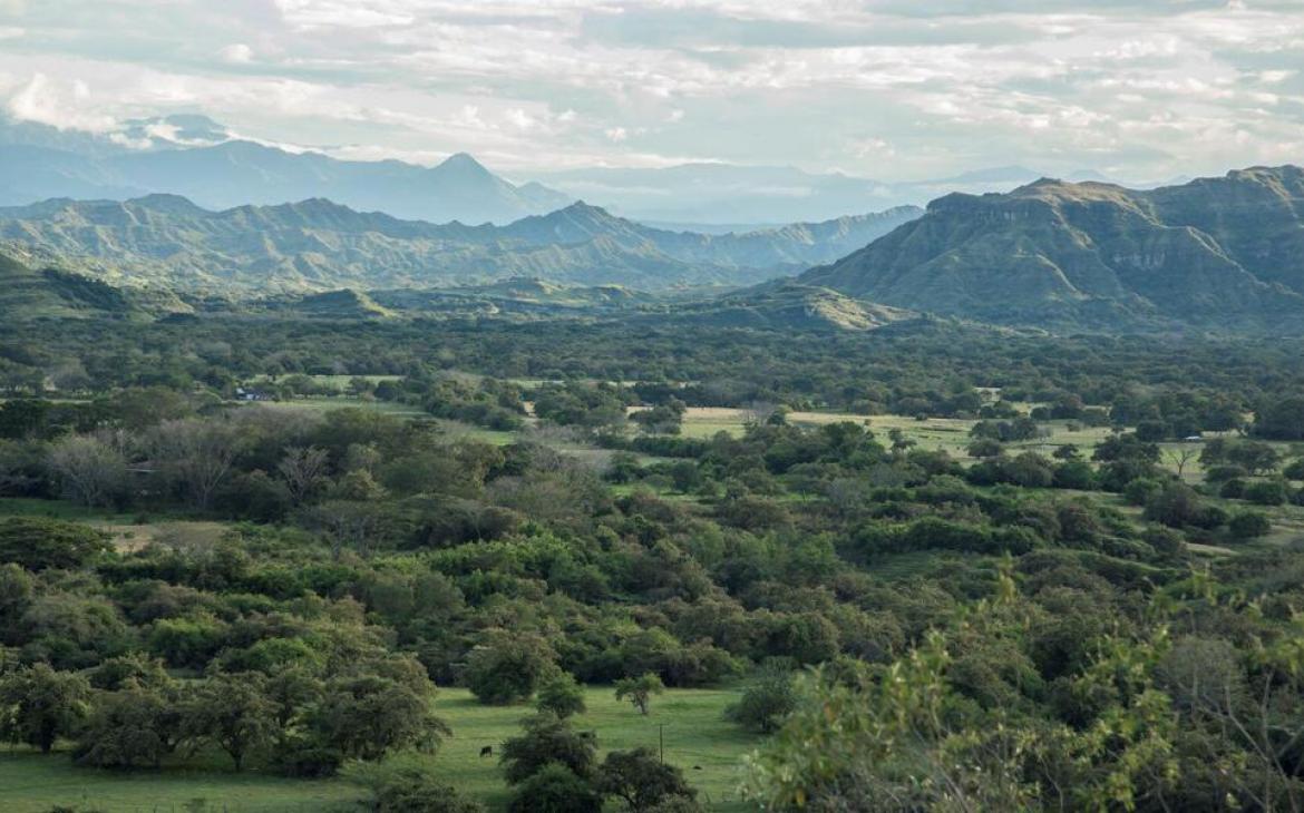 Serranía de Manacacías - Colombie