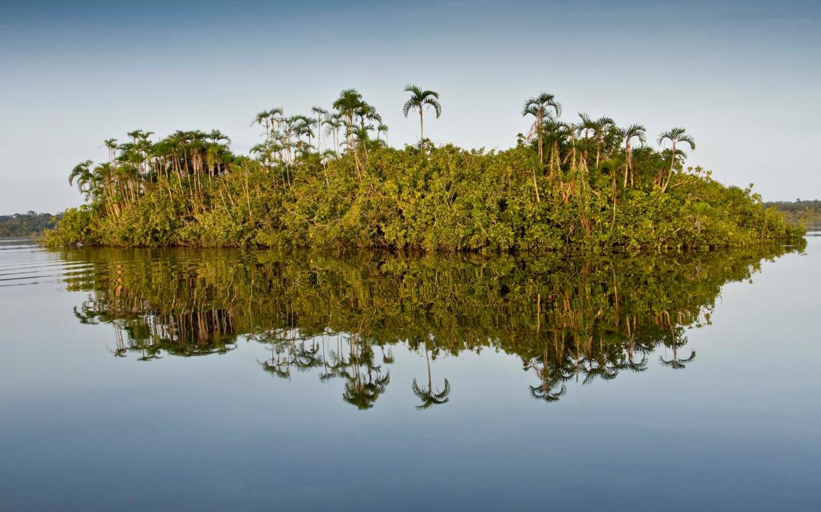 Fleuve Amazone, Cuyabeno, Équateur.