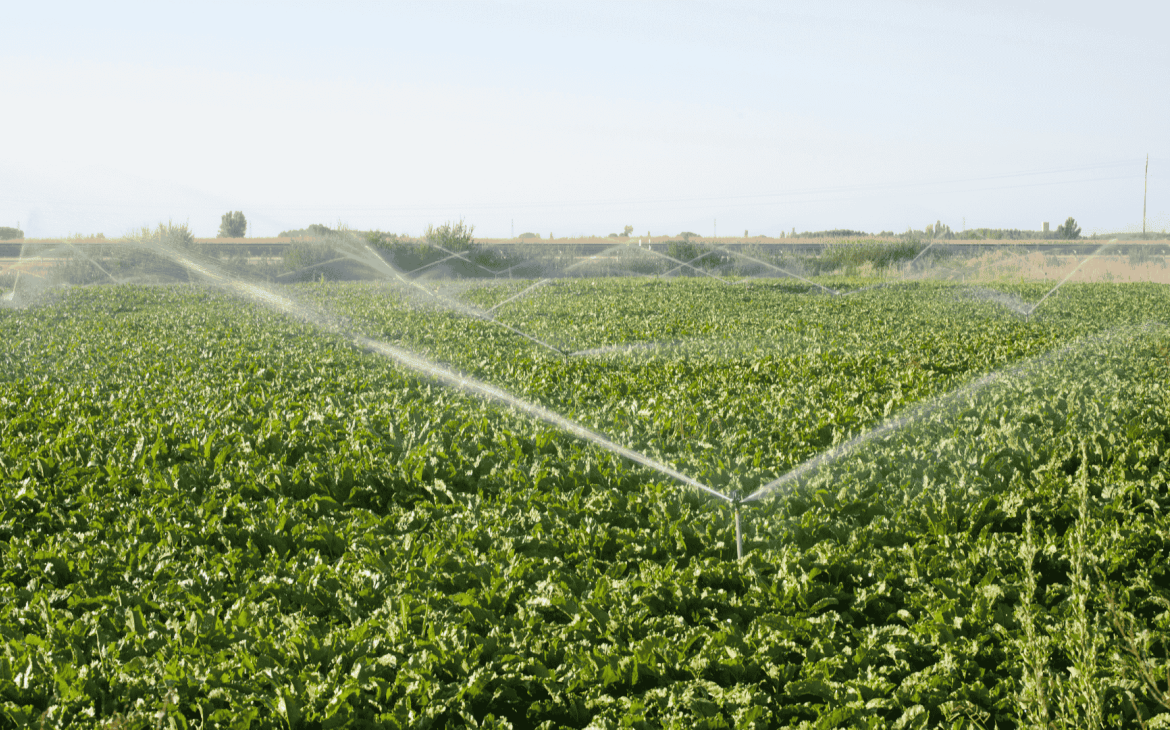 Irrigation champs agriculture