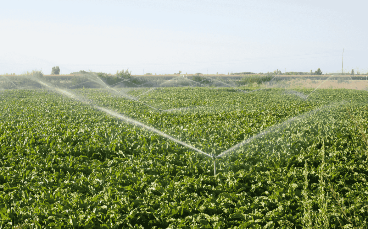 Irrigation champs agriculture