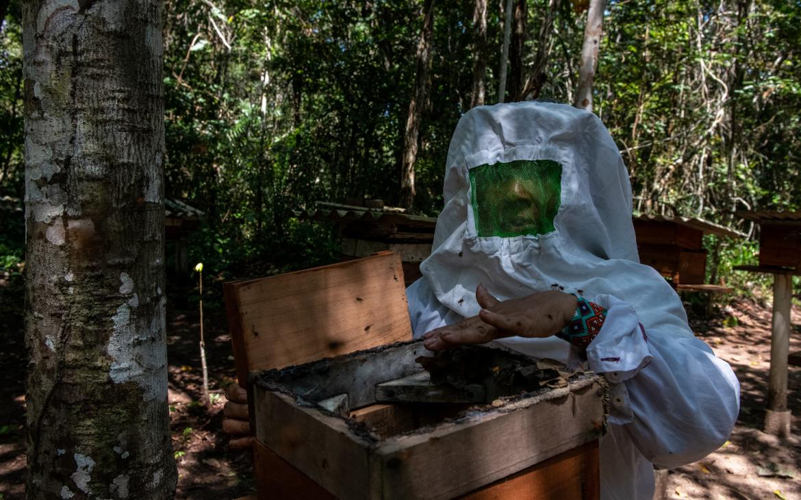 Joelma Lopes, une petite productrice, s'occupe de ses ruches dans la forêt près du Centre expérimental forestier actif dans la région de Tapajós en Amazonie, au Brésil