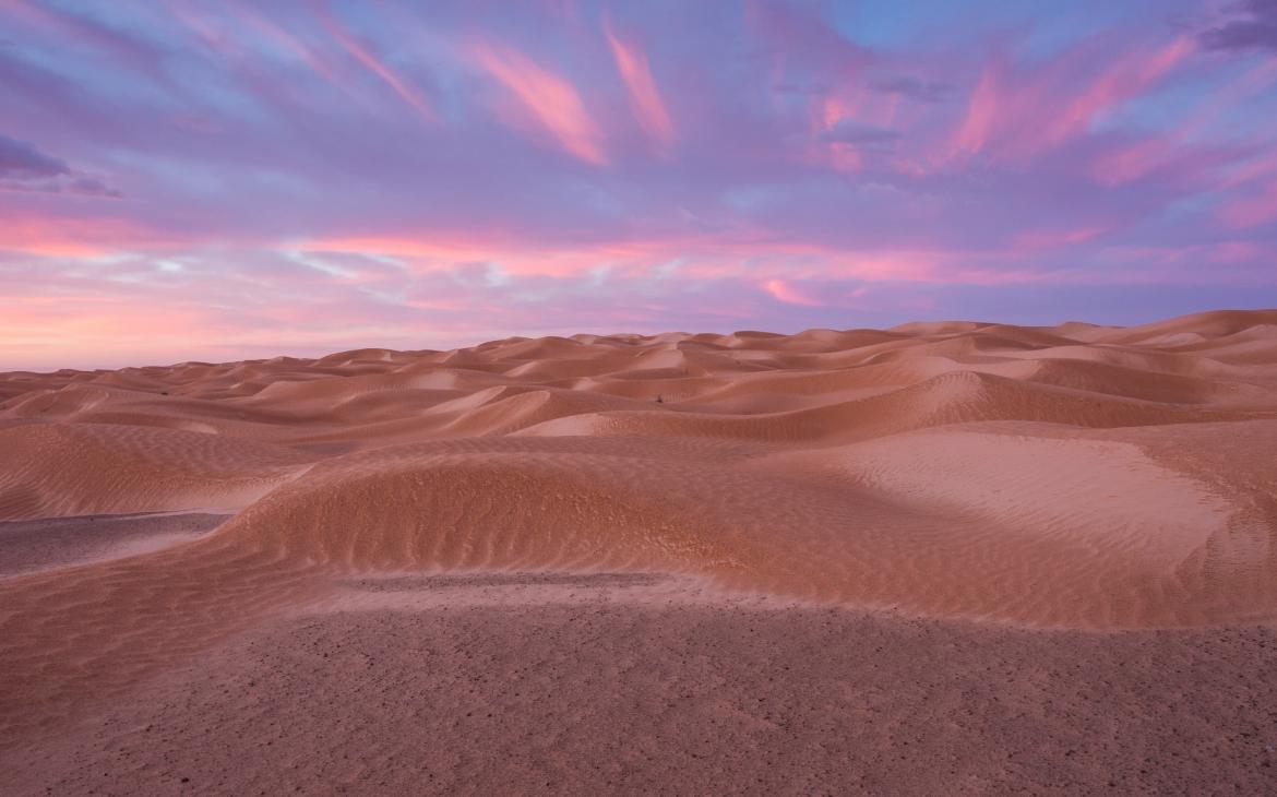 Dunes du désert. Grand Erg Oriental, gouvernorat de Kébili. Tunisie.