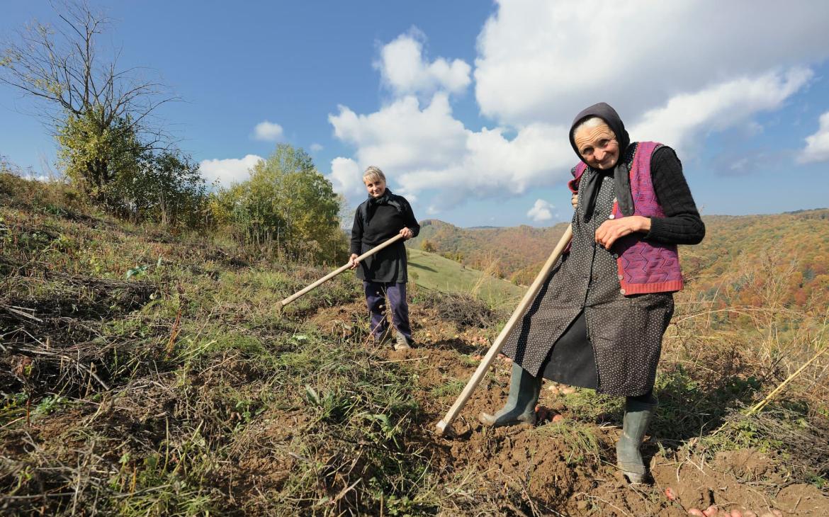 Paysans d'Europe de l'Est qui travaille dans le champ