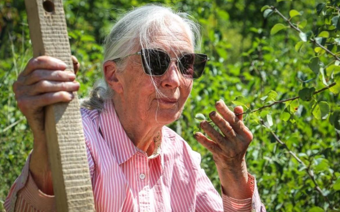 Dr. Jane Goodall, Programme Roots & Shoots