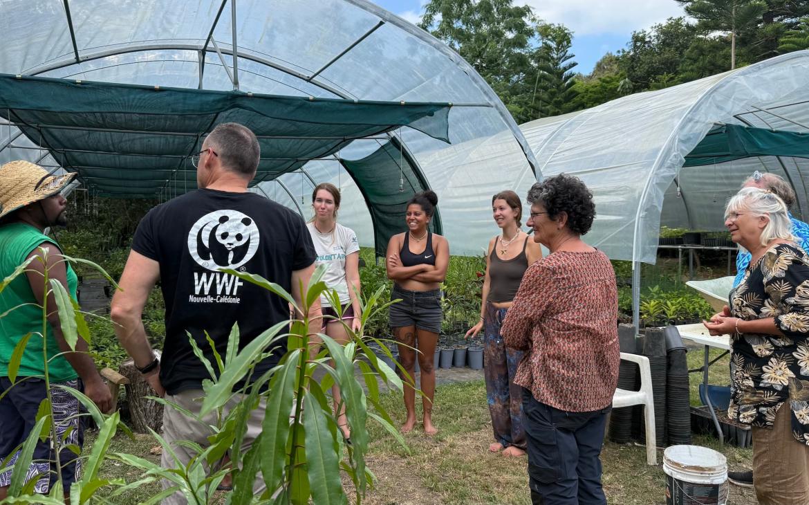 Isabelle Autissier visite les pépinières communautaires de la tribu de Gööpâ