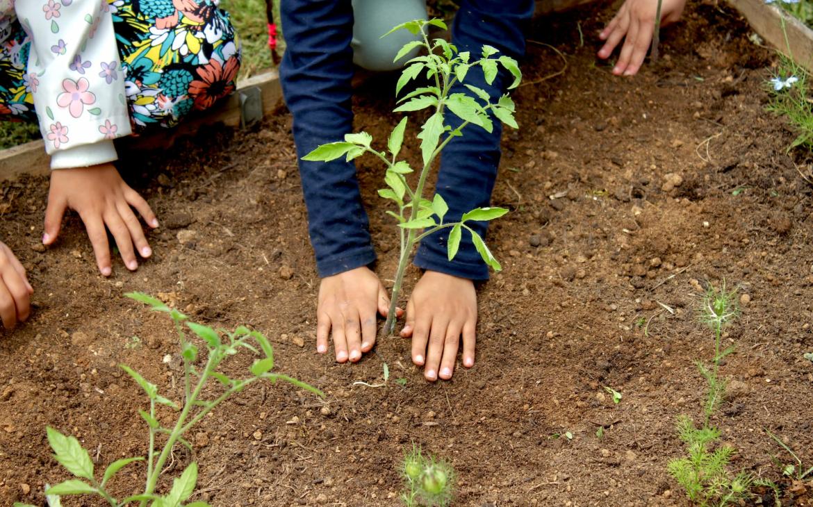 Enfants qui plante une plante 