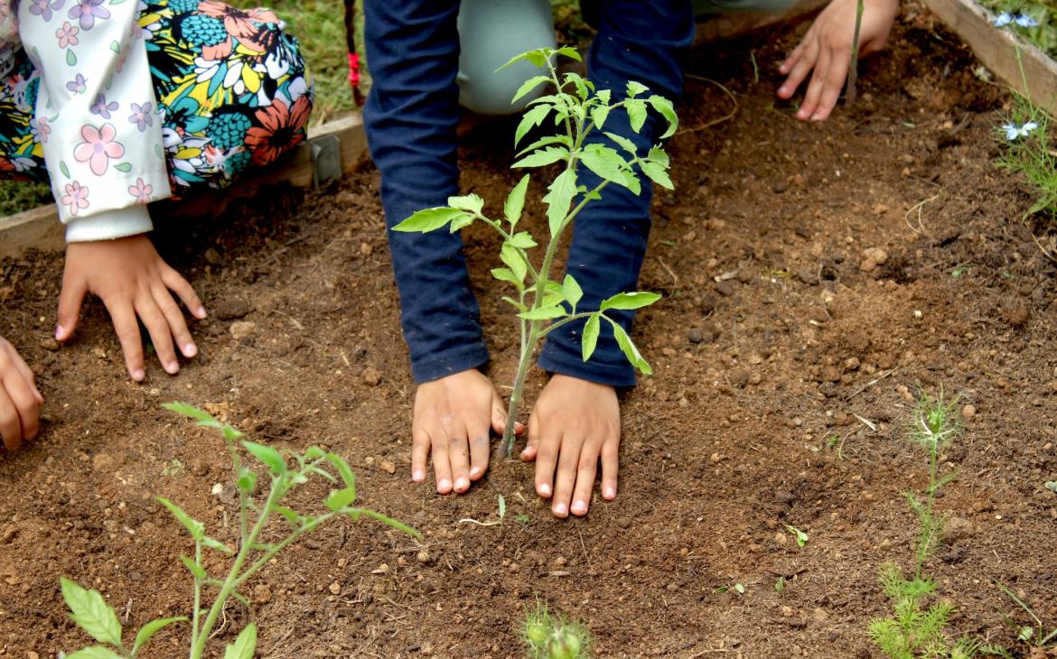 Enfants qui plante une plante 