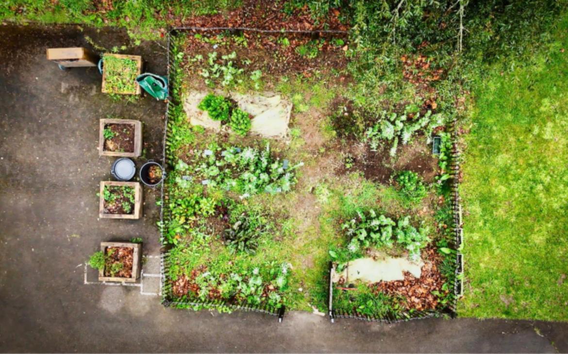 Potager pédagogique vue du dessus