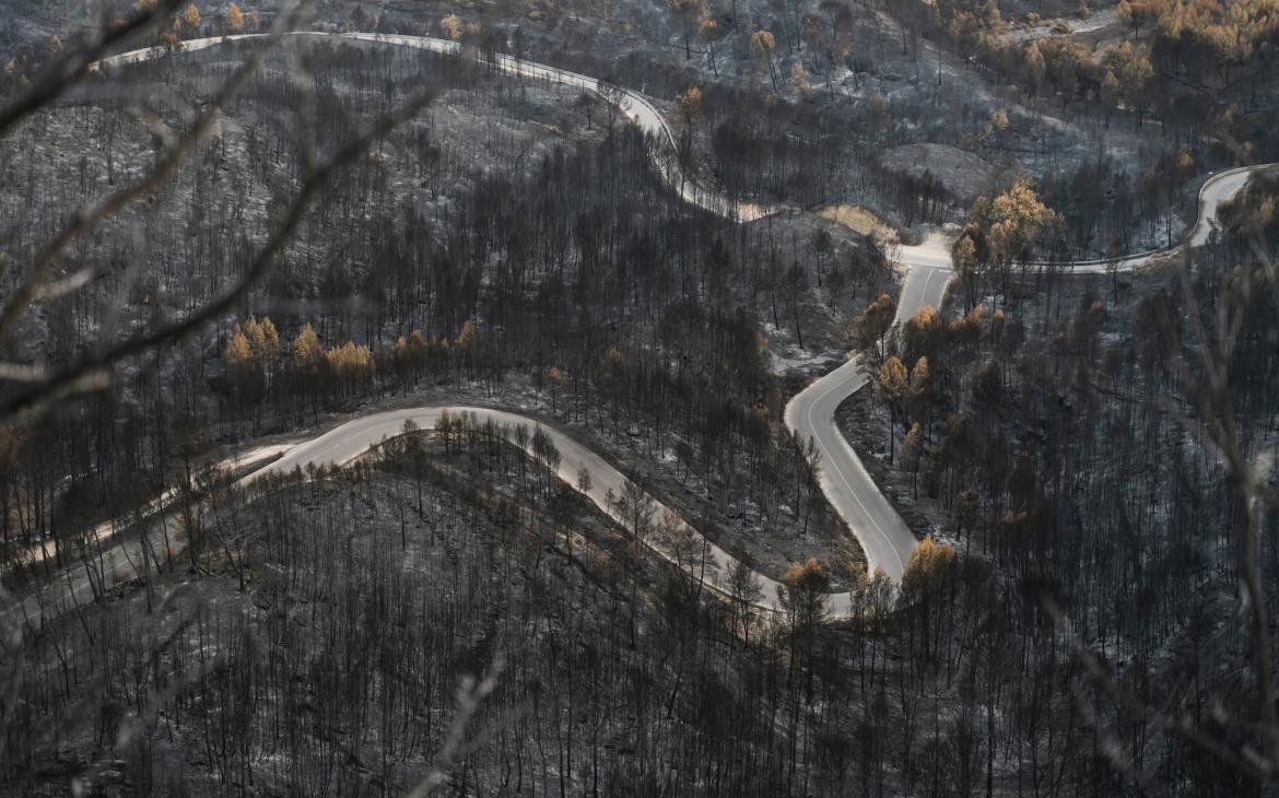 Terre brûlés forêts incendies