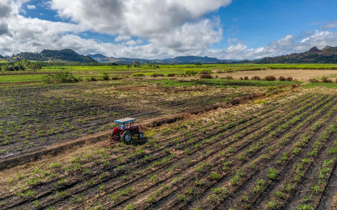 Agriculteur local qui s'occupe de son champs, Fidji
