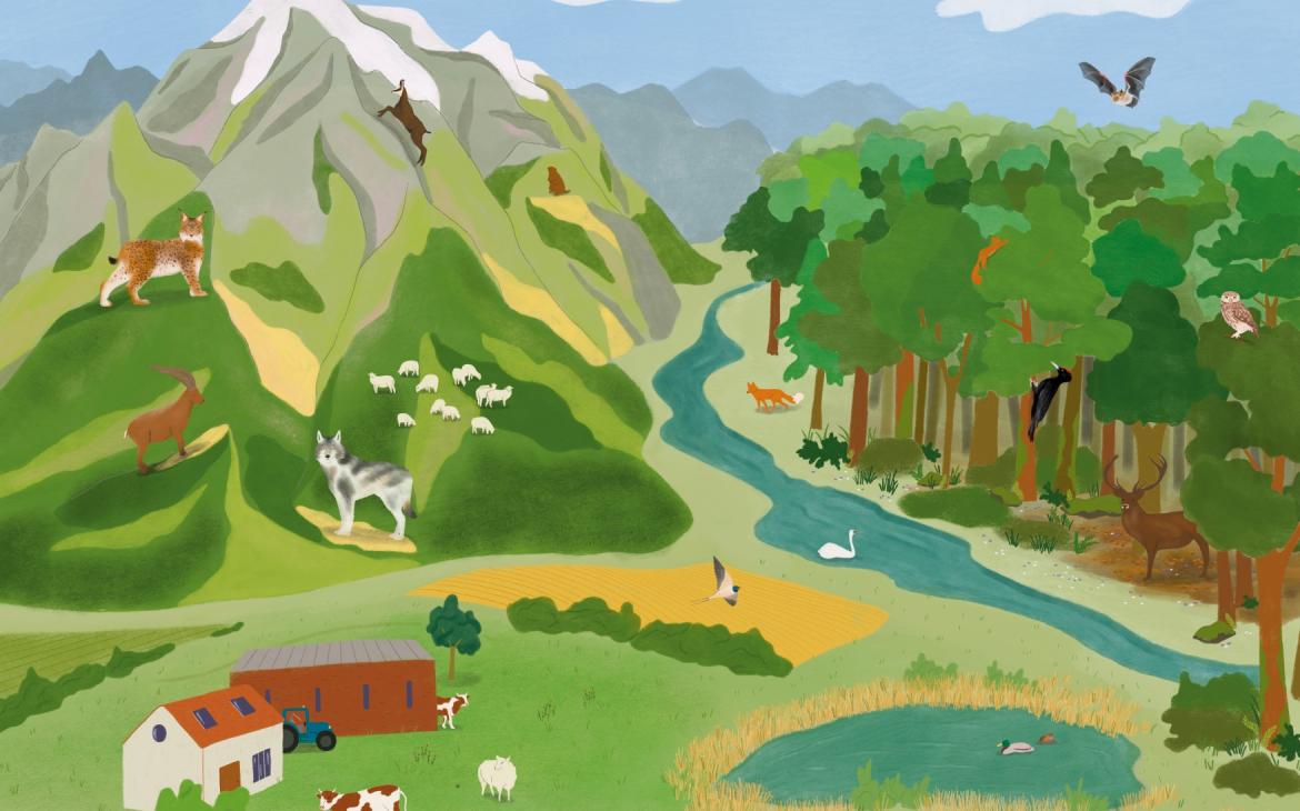 Header France Biodiversité Jeunesse