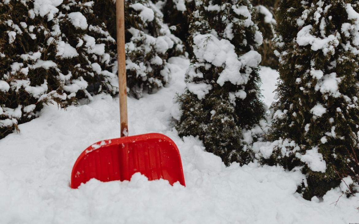 Outil jardinier hiver