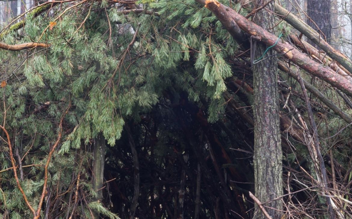 Cabane dans les bois