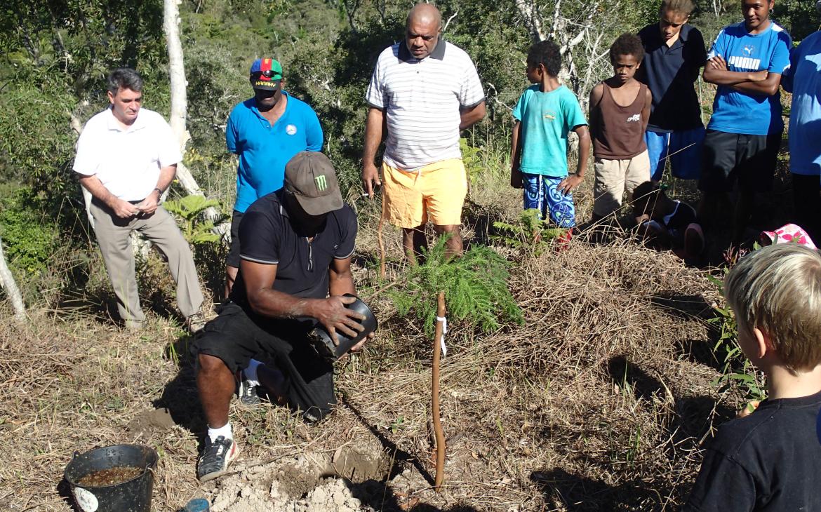 Plantation Azareu Nouvelle-Calédonie